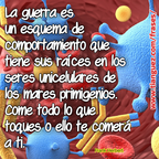 La guerra es un esquema