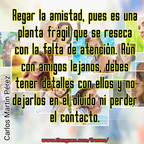La amistad