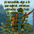 Adorar la vida