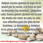 Volver a vivir