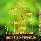 todo es transitorio
