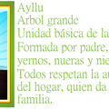 ayllu arbol grande