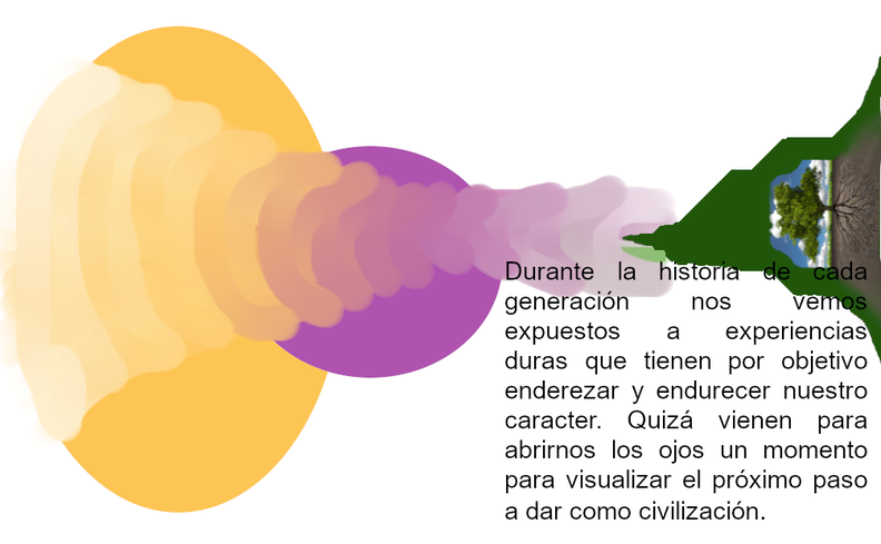 Experiencia