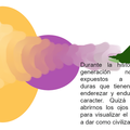 Experiencia