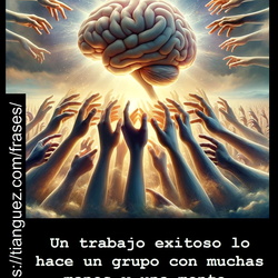 Negocios