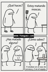 moscas